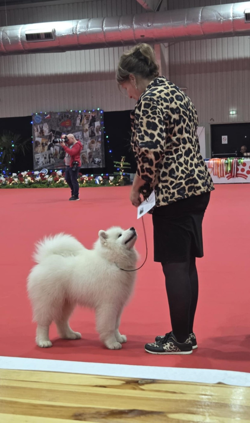 Another Story Thalos of Karasea