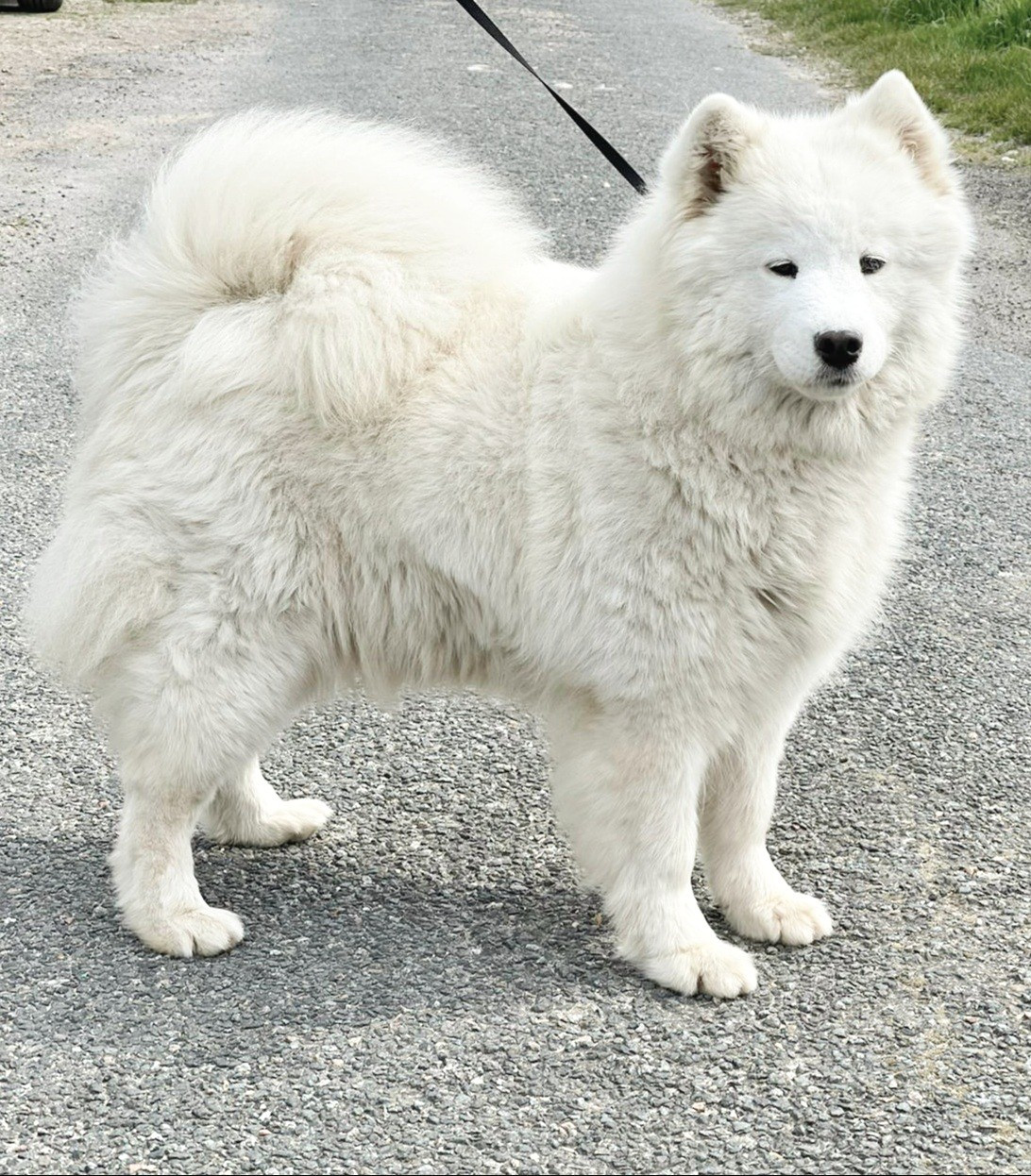 Self Love Shanna of Karasea