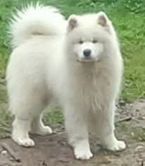 Another Story Thalos of Karasea