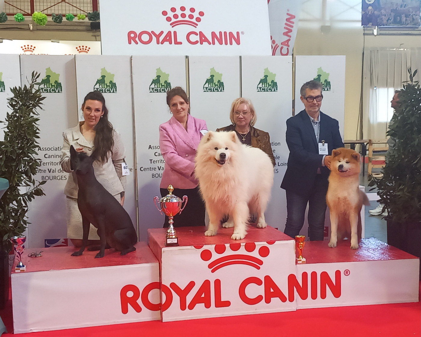 08/02/2026 CACIB Bourges ... Meilleur du Groupe 5 pour notre PUMBA!!!!!