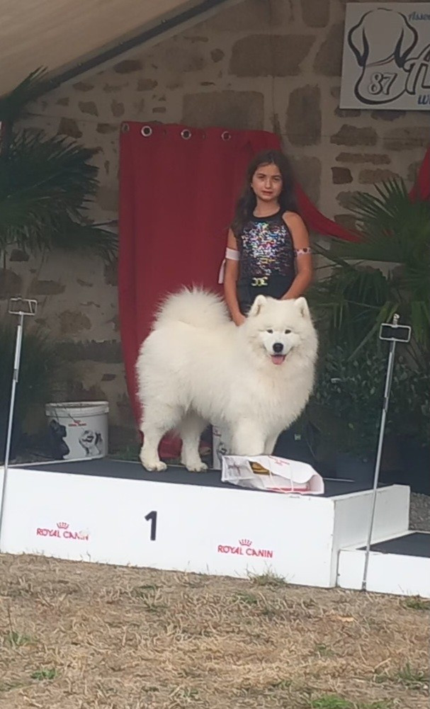 Concours Jeune Présentateur Chaptelat 2026