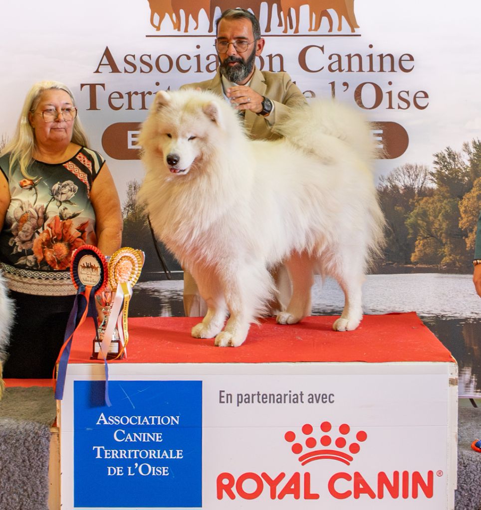 Super week-end pour notre champion,!!!